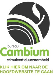 Website Bureau Cambium